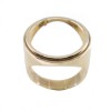 14 K Men's ring for golden pound, 3068.