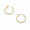 Smooth design small hoops in 9K yellow gold, 2992.
