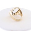 14 K Men's ring for golden pound, 3068.